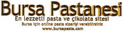 Online Bursa pasta Gnder